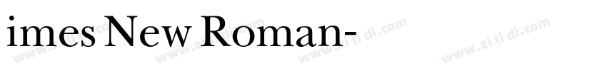 imes New Roman字体转换
